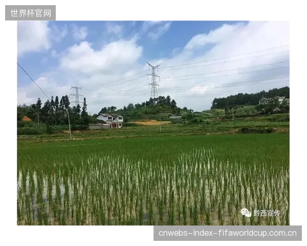远程交互系统不仅是技术下沉，更是对乡村青少年心理陪护模式的根本性转变，实现了从“短期访客”到“长期导师”的进化